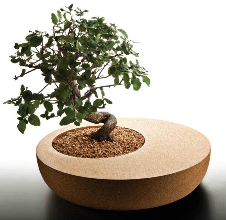 Bowl_01